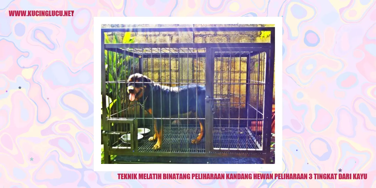 Kandang Hewan Peliharaan 3 Tingkat dari Kayu