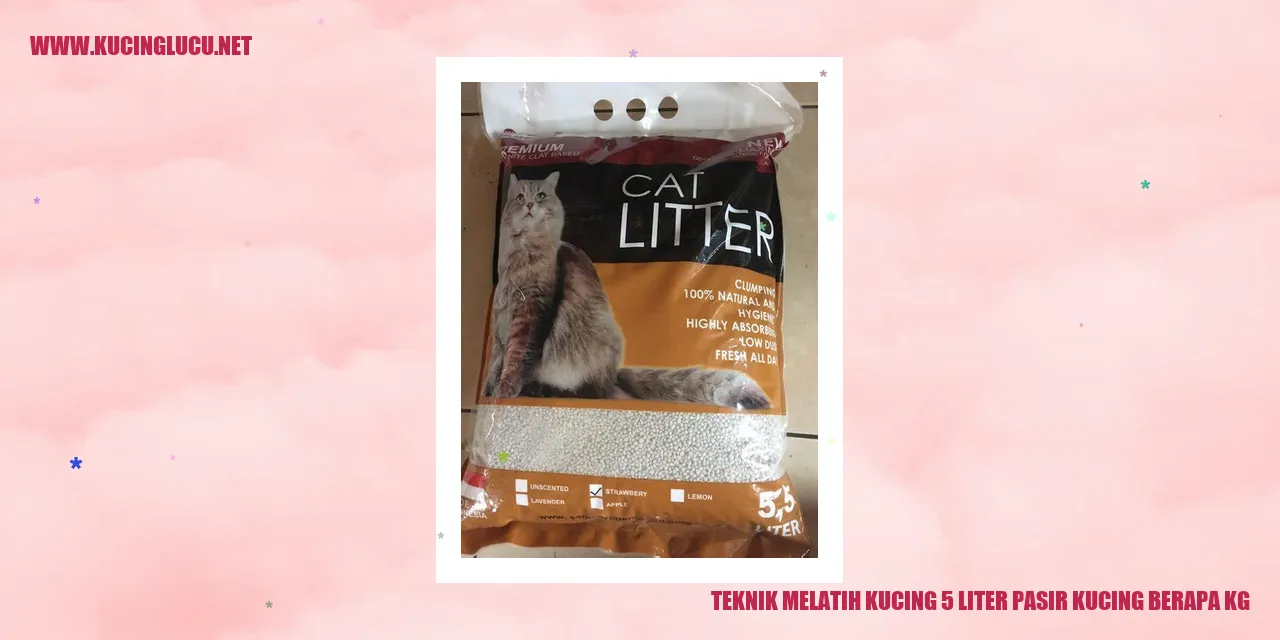 Kucing Menggunakan Pasir Kucing