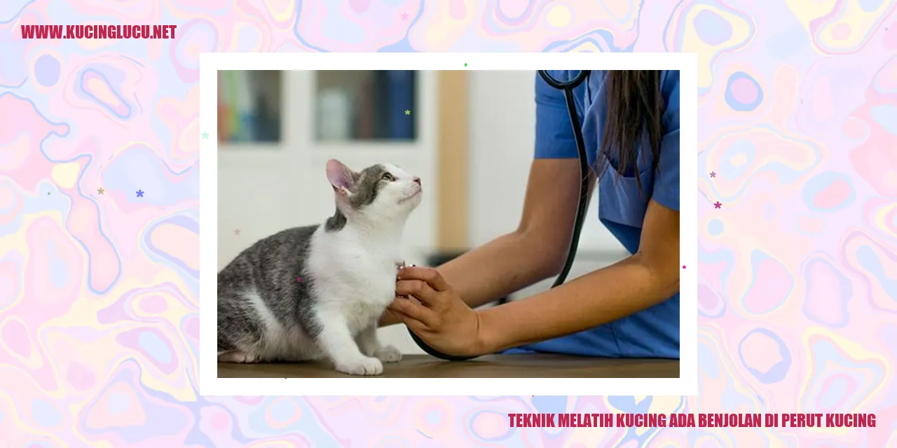 Kucing dengan benjolan di perut