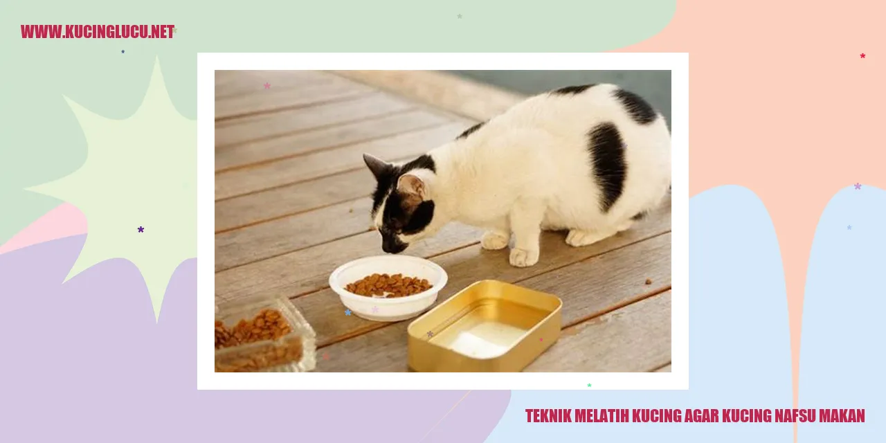 Teknik Melatih Kucing agar kucing nafsu makan