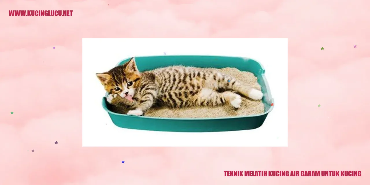 Kucing minum air garam