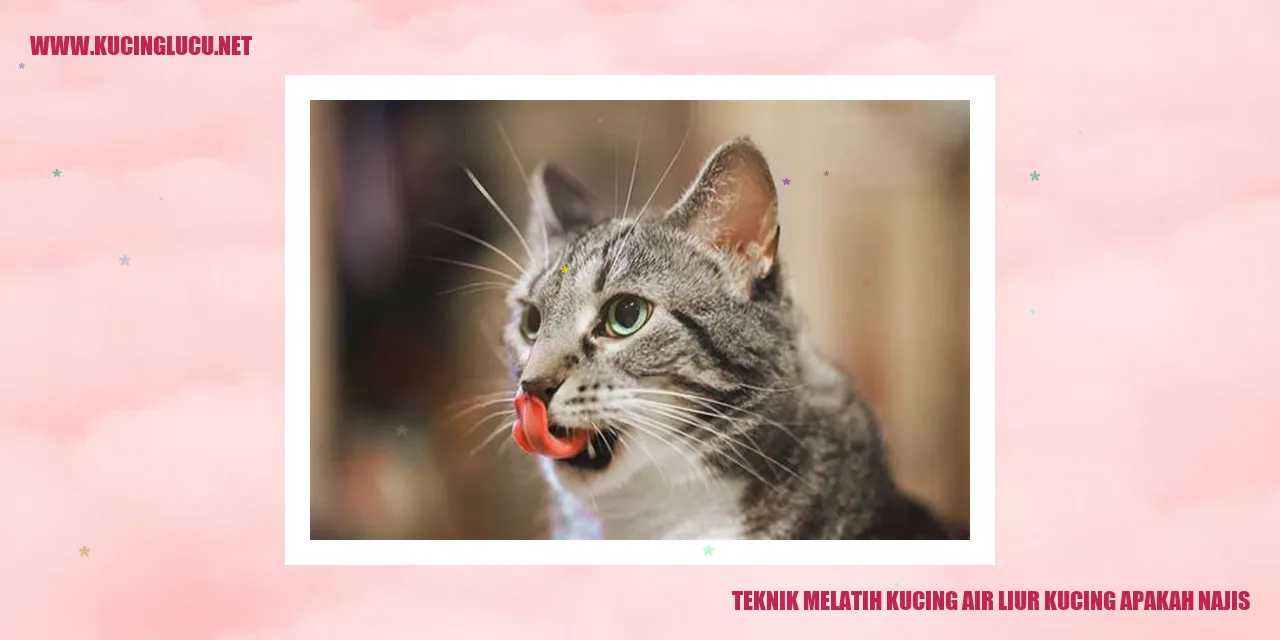Gambar kucing bersama dengan air liurnya