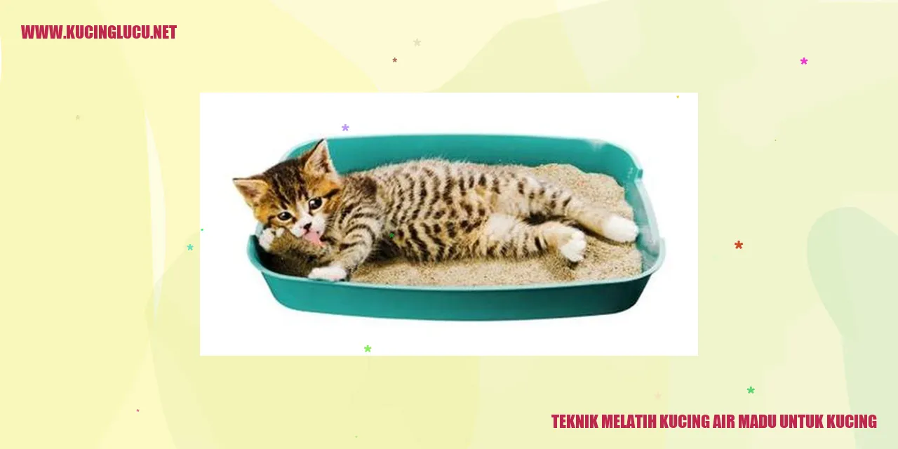 Kucing air madu