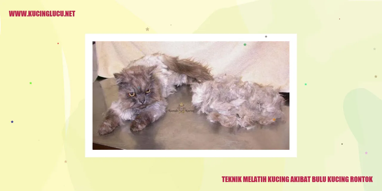 Kucing Mengalami Rontok Bulu