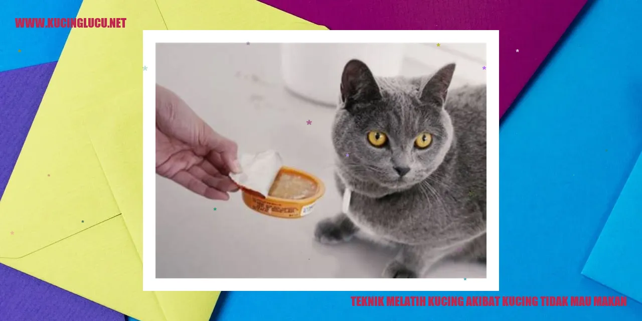 Gambar Kucing