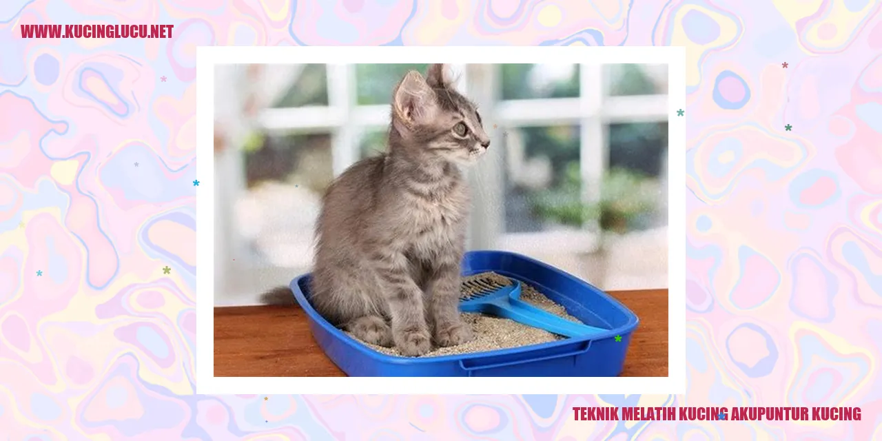 Ilustrasi mengenai melatih kucing menggunakan akupuntur
