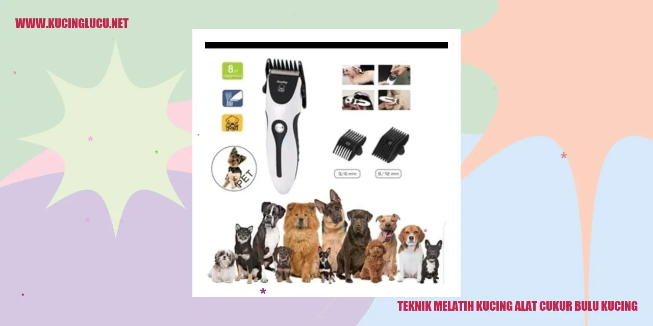 Gambar teknik melatih kucing alat cukur bulu kucing