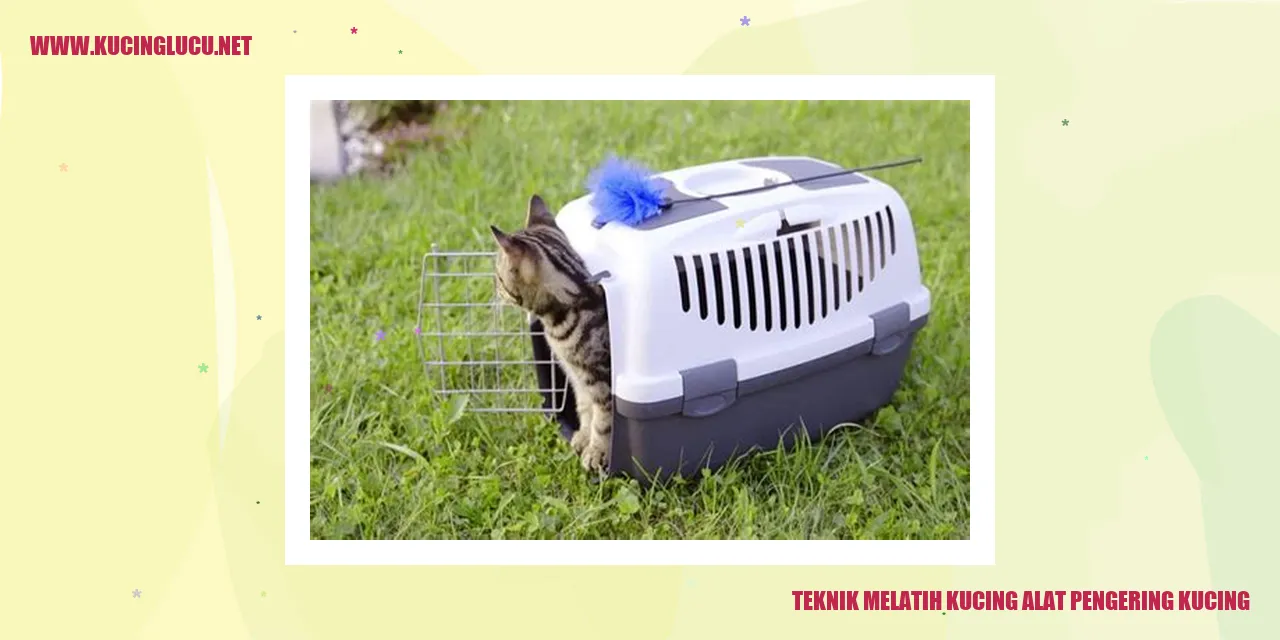 Gambar kucing menggunakan alat pengering