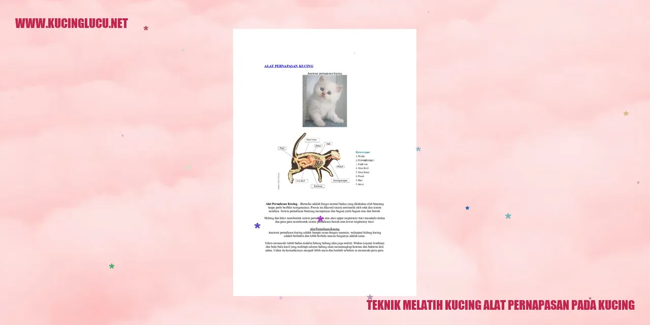 Kucing Menikmati Udara yang Segar