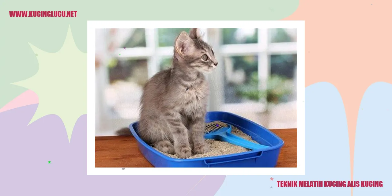 Gambar Kucing Menggemaskan