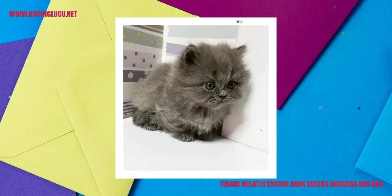 Teknik Menjinakkan Kucing Muda Anggora Warna Abu-abu