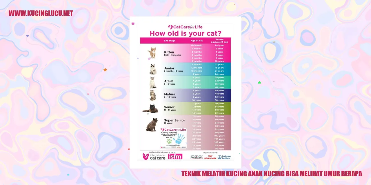Gambar Menggemaskan Kucing