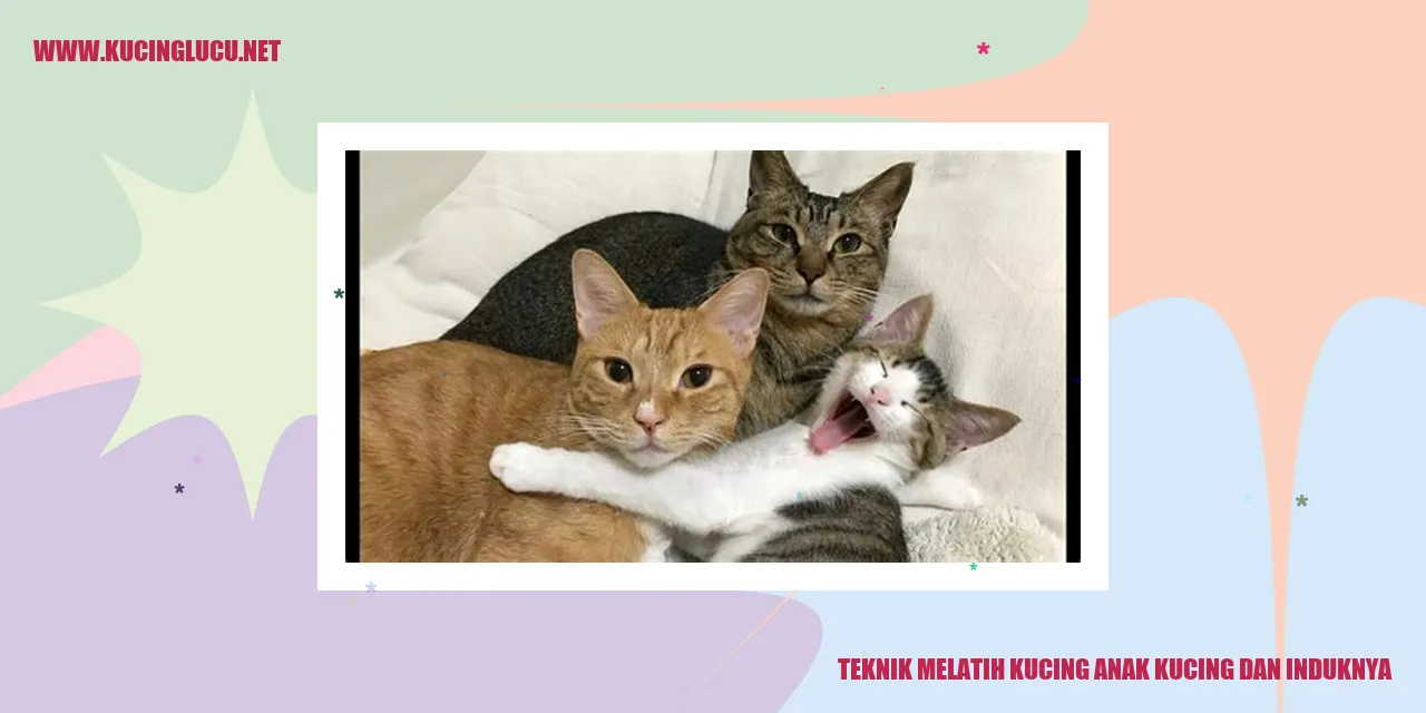 Gambar kucing dan anak kucing
