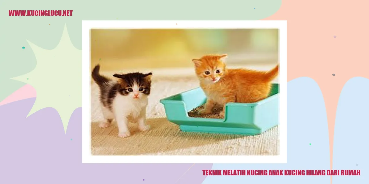 Teknik Melatih Kucing anak kucing hilang dari rumah