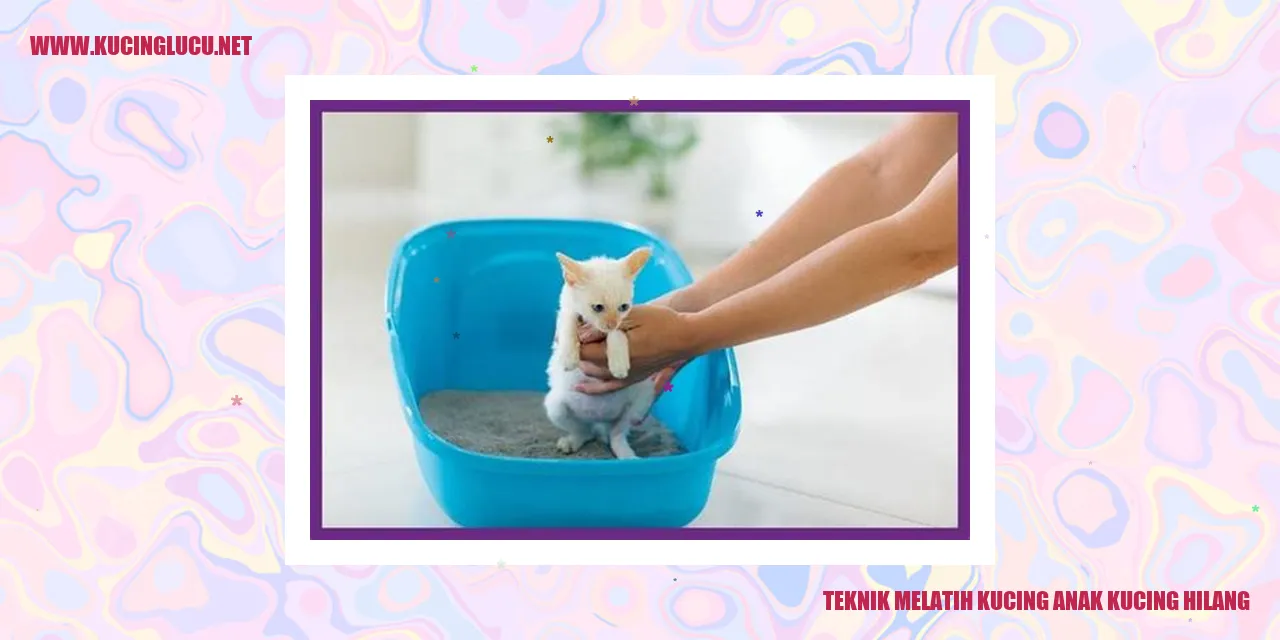 Teknik Melatih Kucing anak kucing hilang