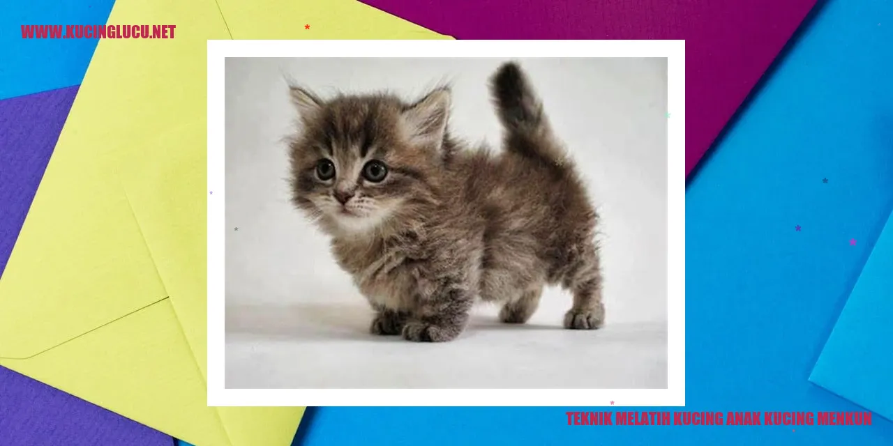 Teknik Melatih Kucing anak kucing menkun