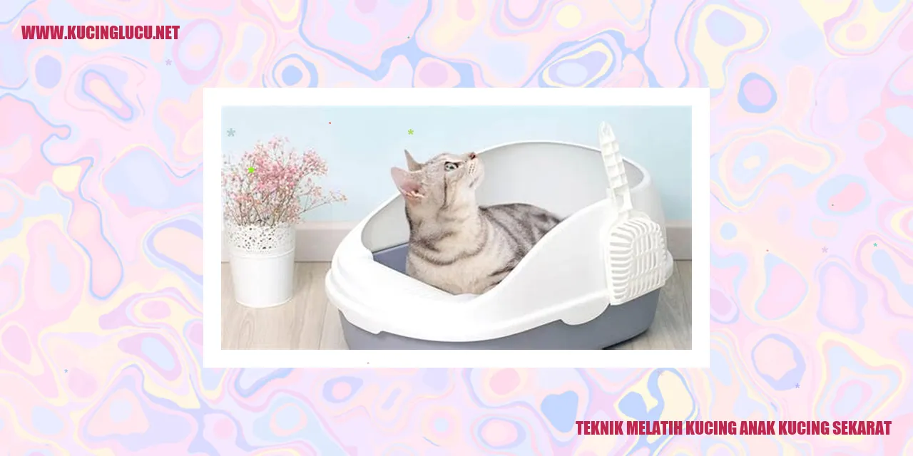 Teknik Melatih Kucing Anak Kucing Sekarat