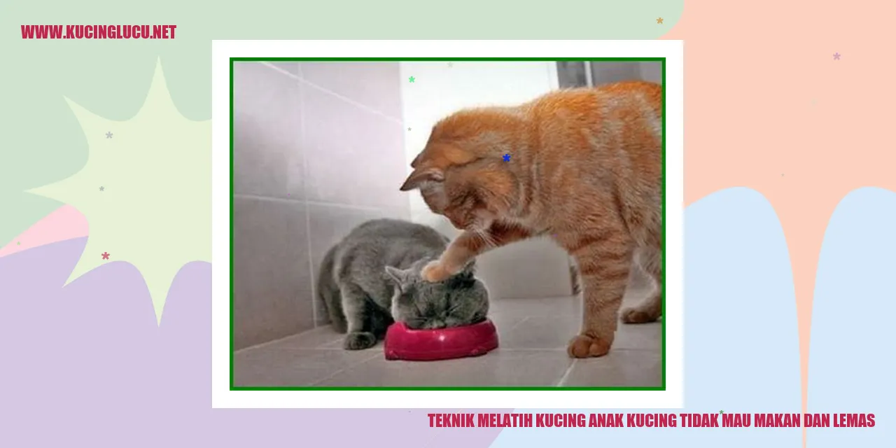 Gambar Seorang Kucing yang Menggemaskan