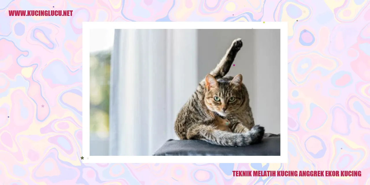 Gambar kucing anggrek ekor kucing