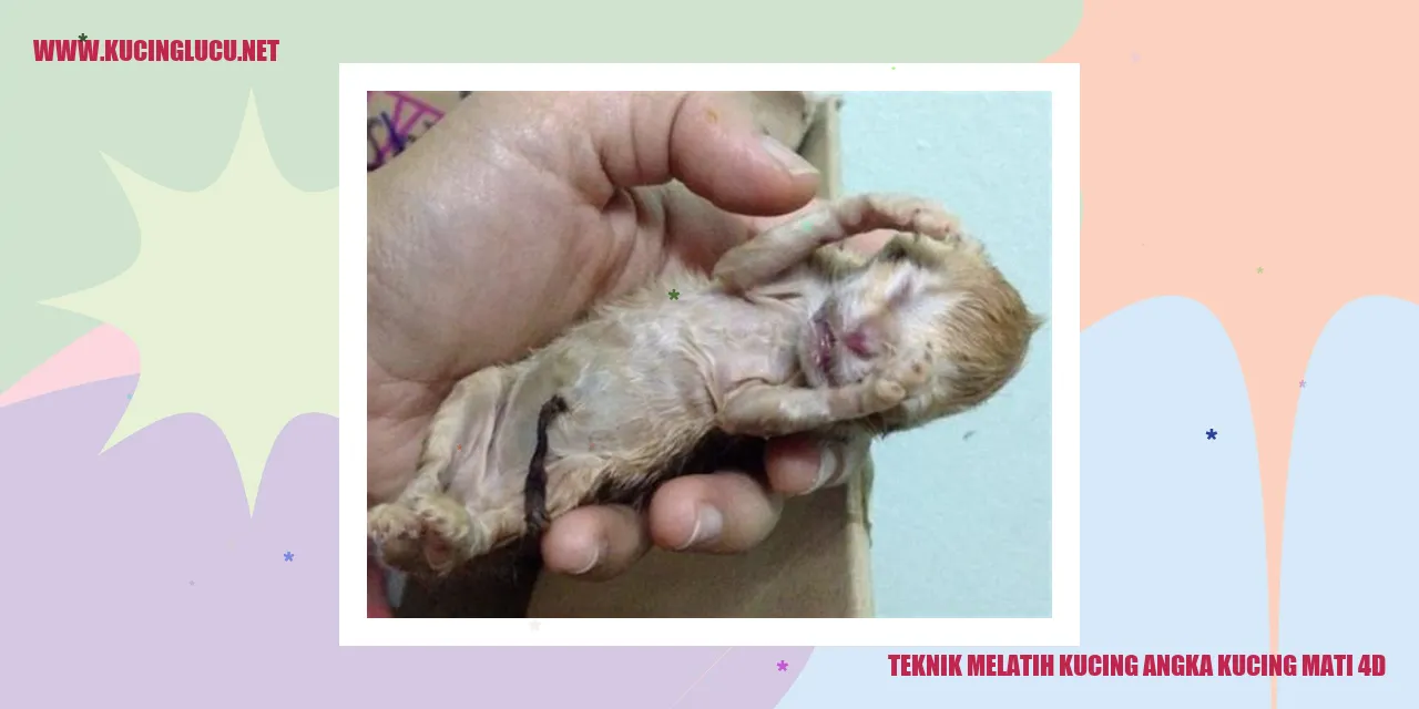 Gambar Kucing