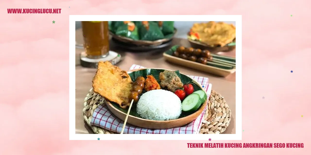 Gambar Kucing angkringan sego kucing