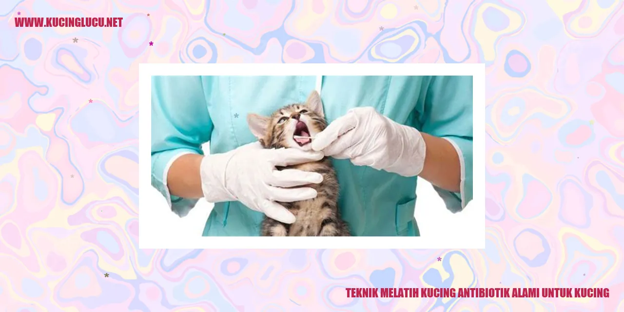 gambar kucing