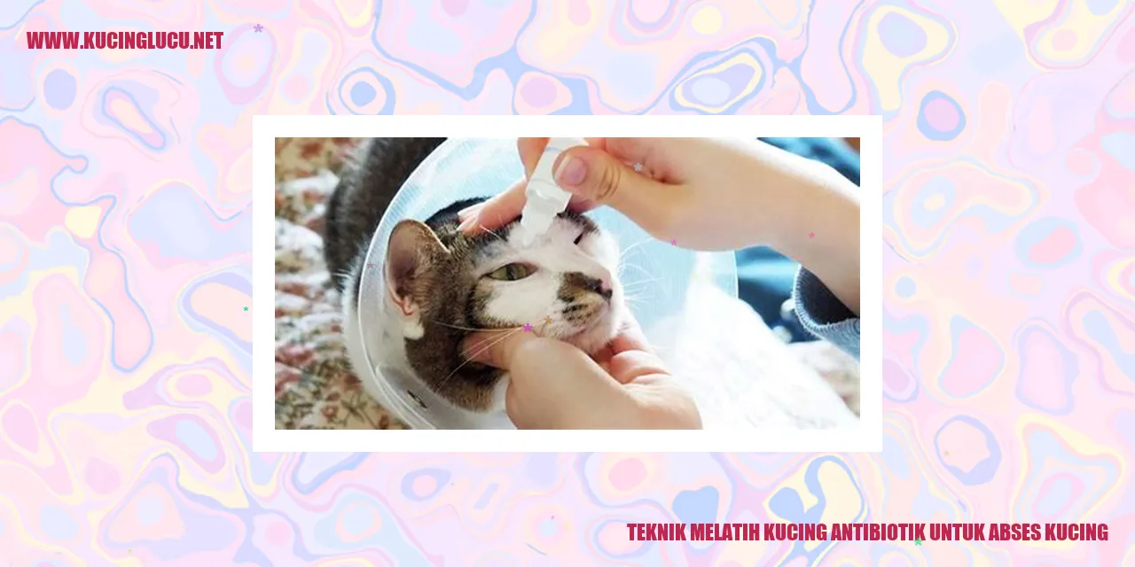 Gambar Kucing Mengalami Abses