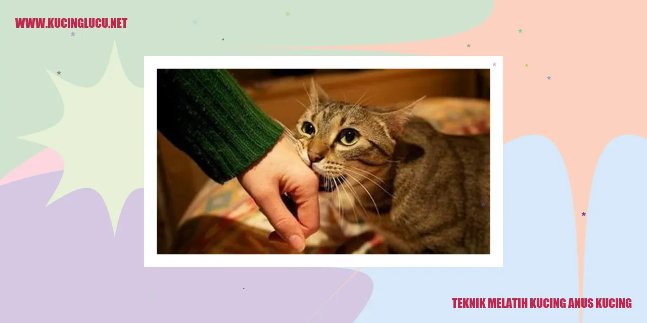 Kucing sedang dilatih