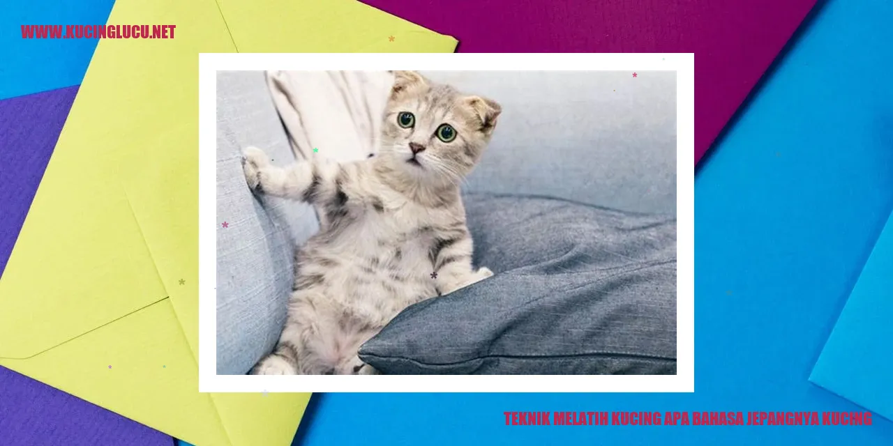 Teknik Melatih Kucing