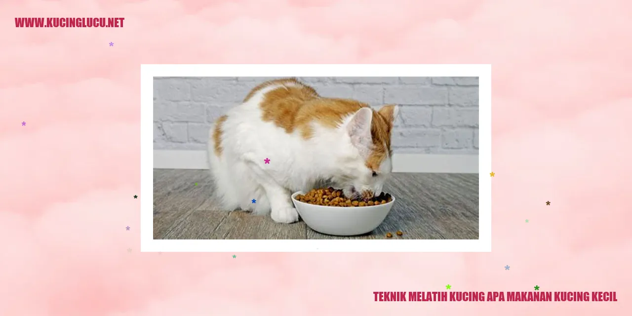 Gambar Kucing Lucu