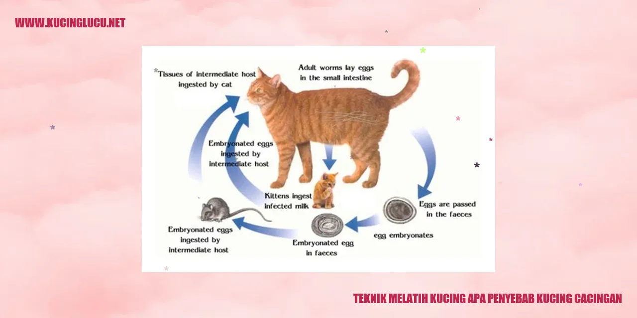 Gambar Kucing