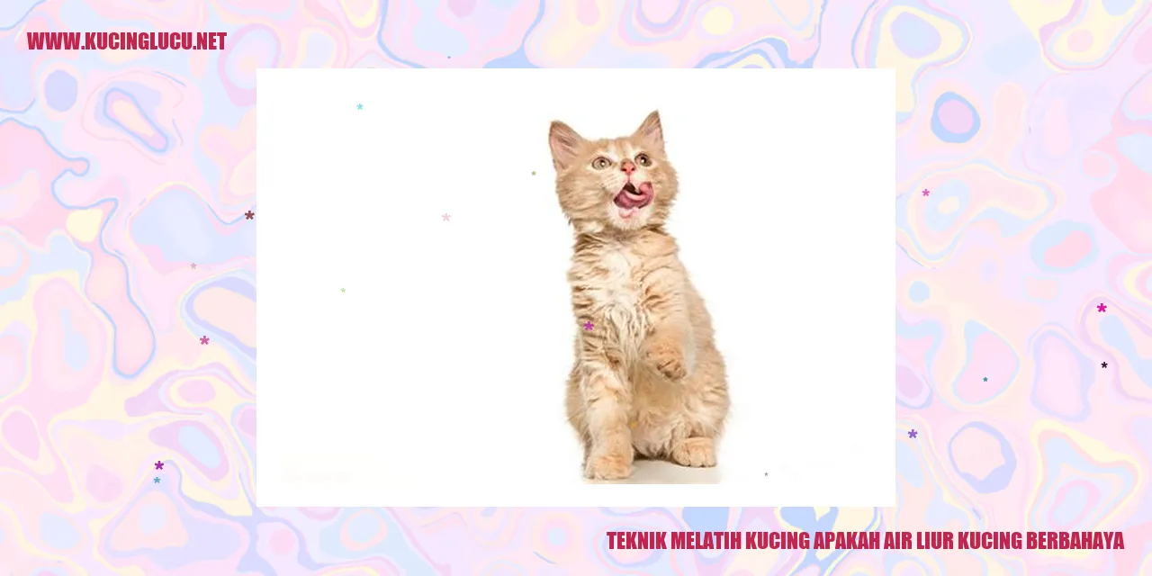 Gambar Kucing