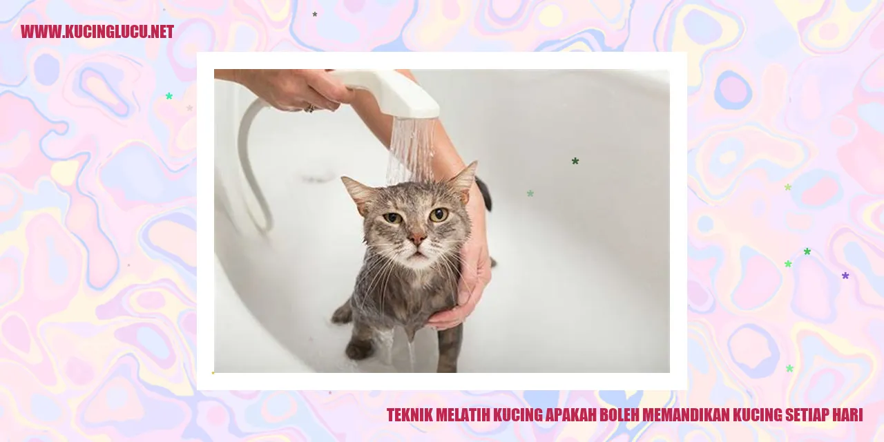 Kucing Mandi