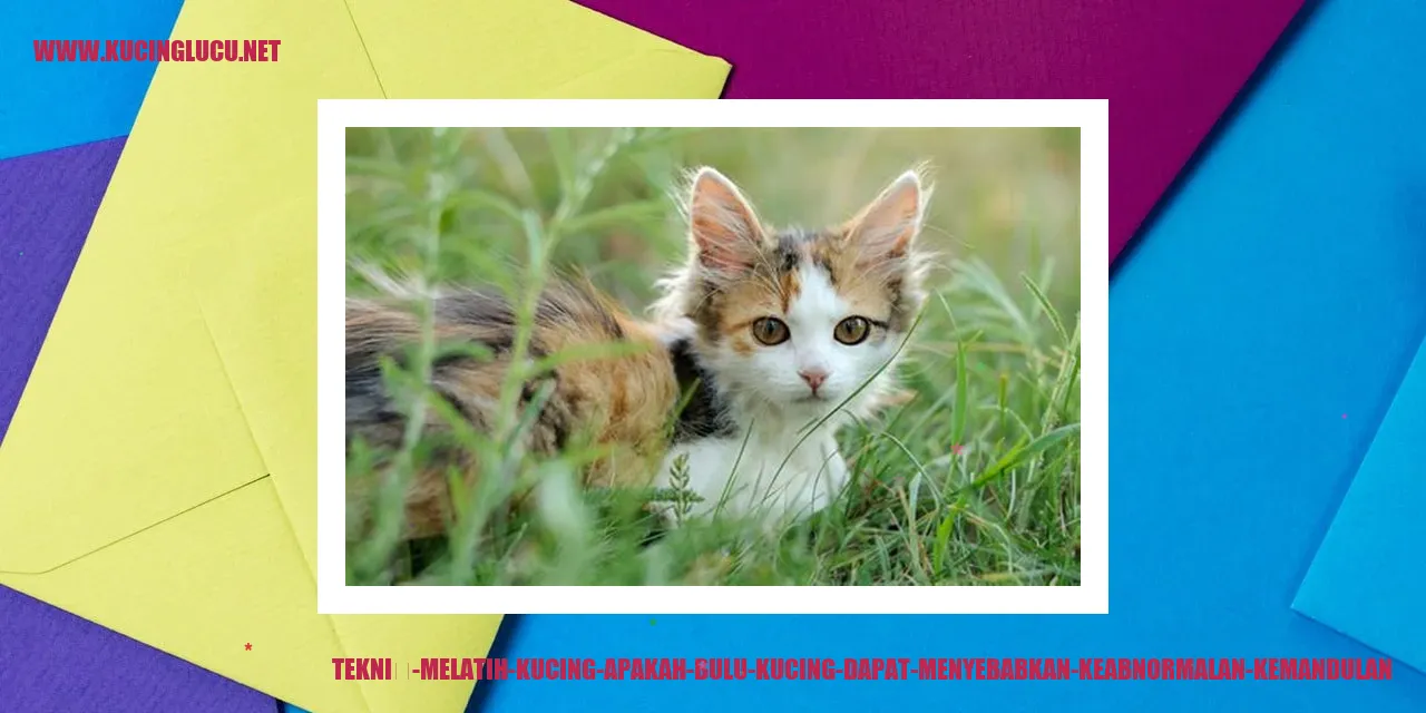 Teknik Melatih Kucing apakah bulu kucing bisa membuat mandul