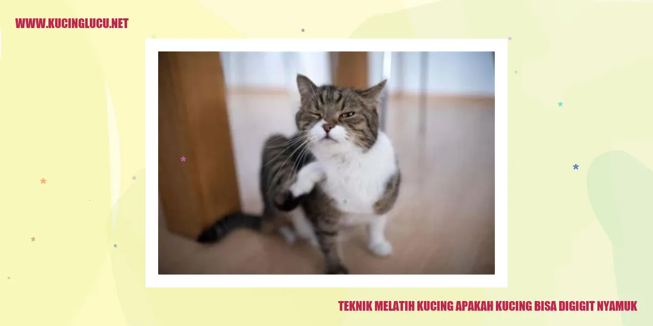 Kucing-digigit-nyamuk