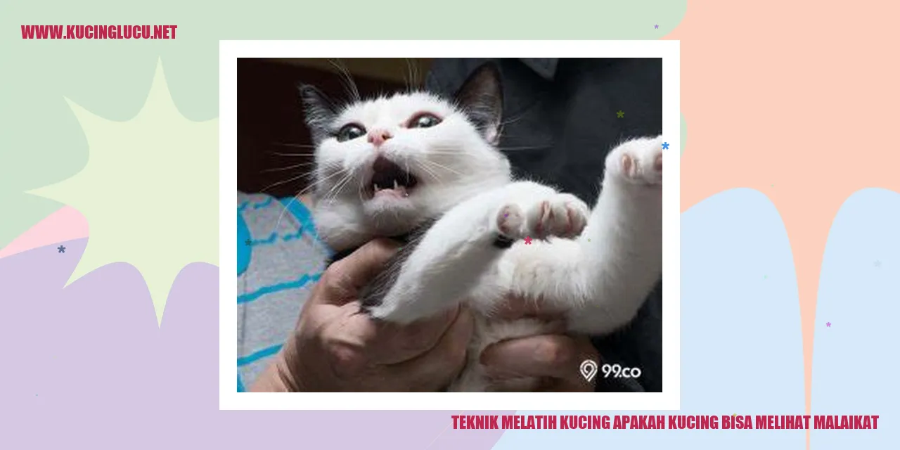 Kucing melihat malaikat