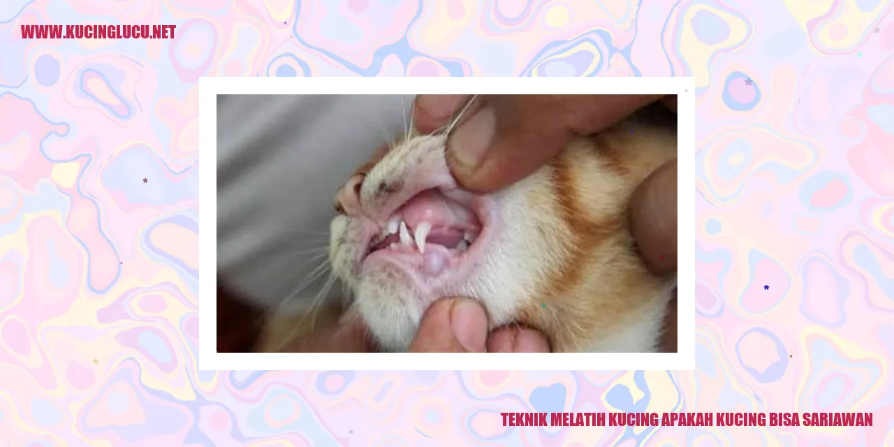 Foto Kucing Menggemaskan