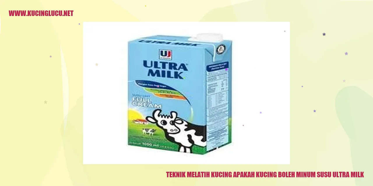Gambar Kucing
