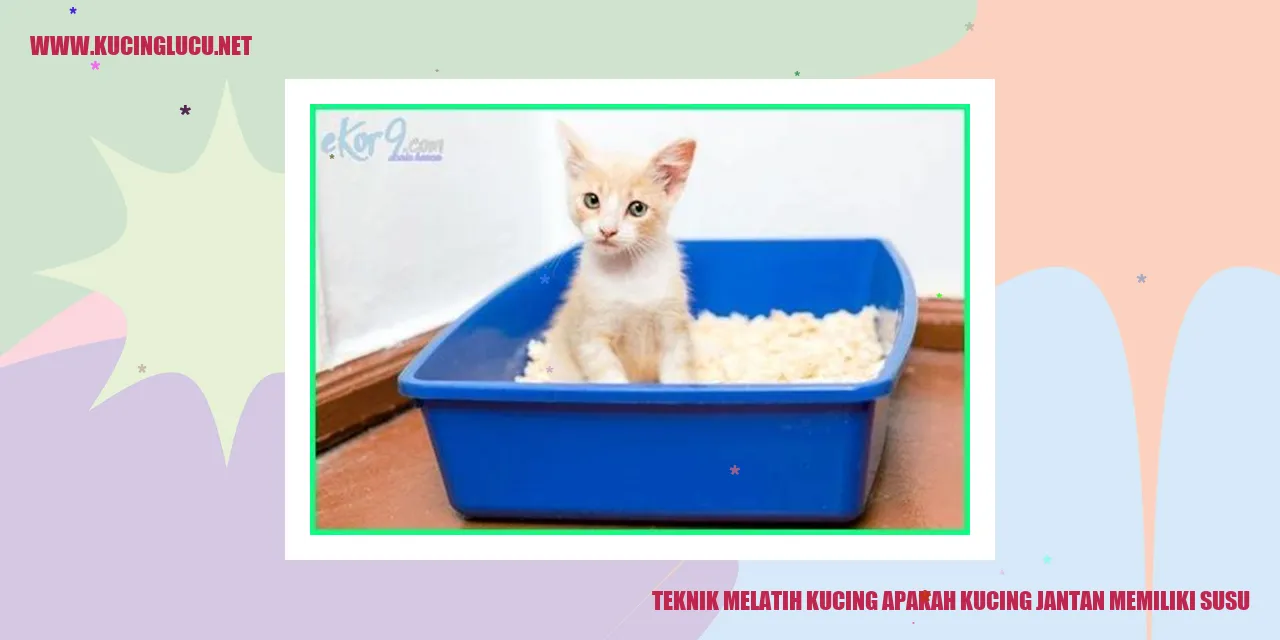 Gambar kucing sedang minum susu