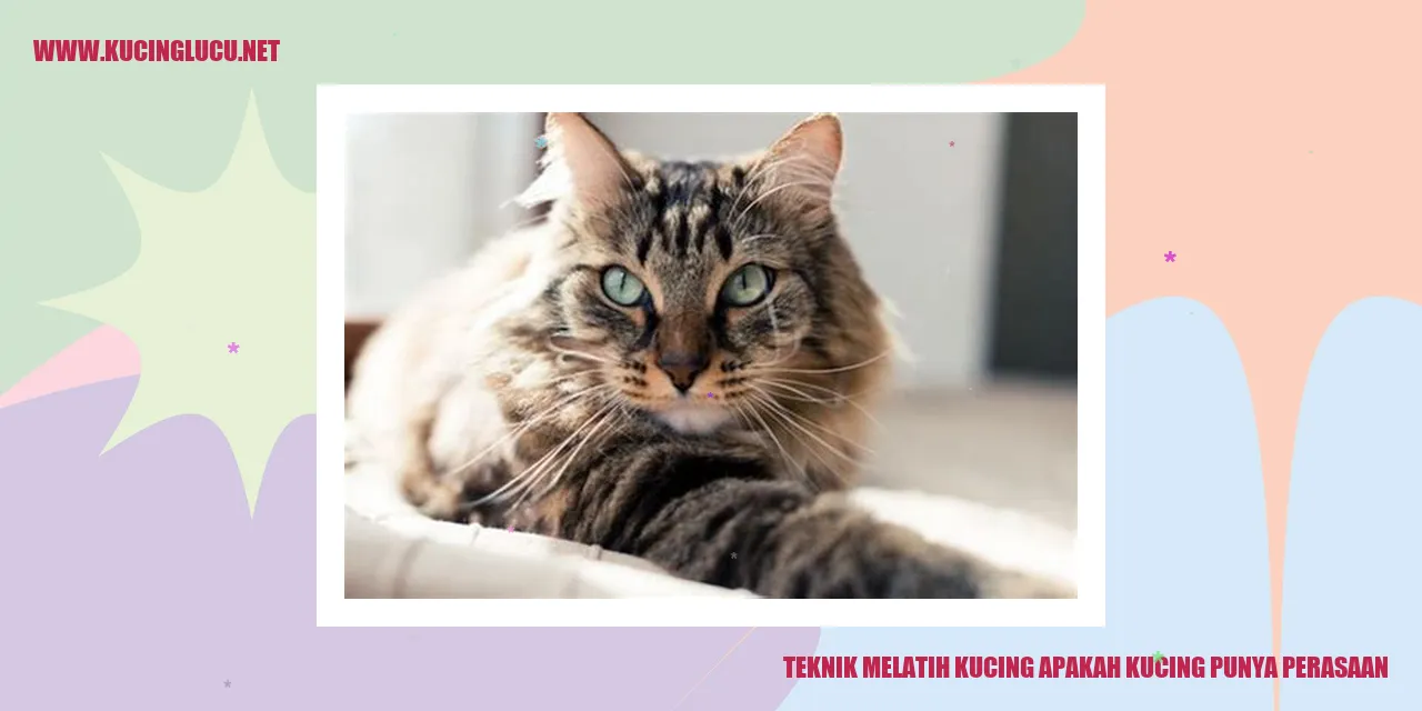 Gambar Kucing Lucu