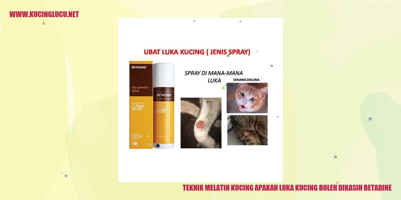 Teknik Melatih Kucing apakah luka kucing boleh dikasih betadine