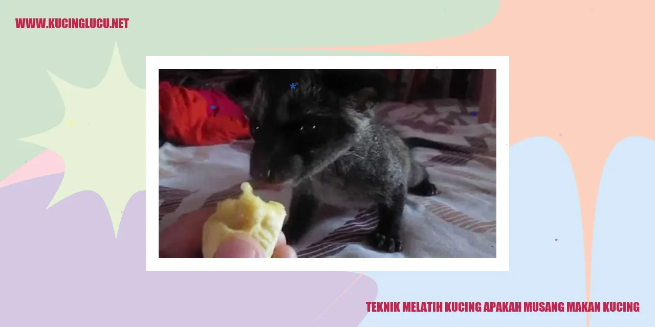 Teknik Melatih Kucing