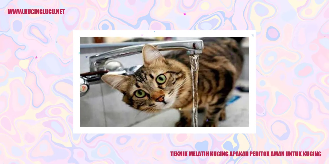 Teknik Melatih Kucing apakah peditox aman untuk kucing