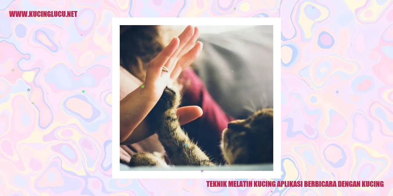 Gambar Kucing