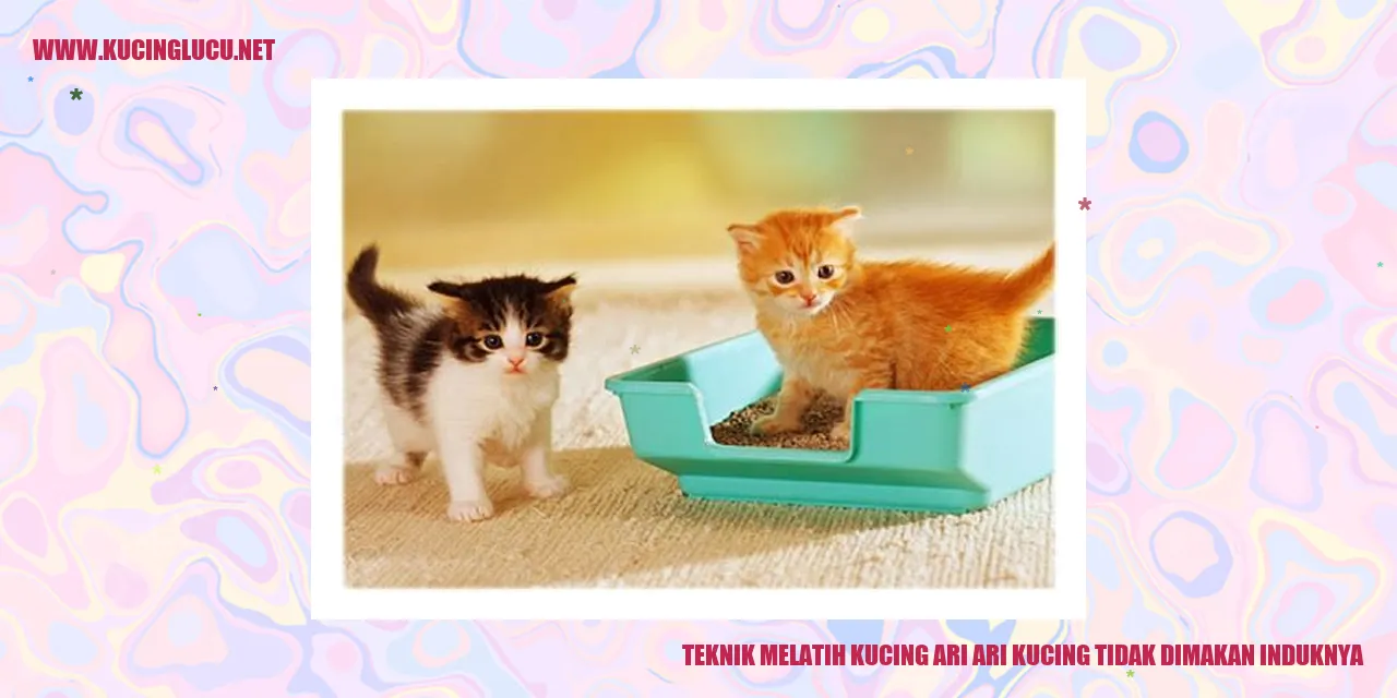 Teknik Melatih Kucing ari ari kucing tidak dimakan induknya