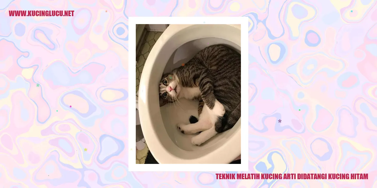 Teknik Melatih Kucing arti didatangi kucing hitam