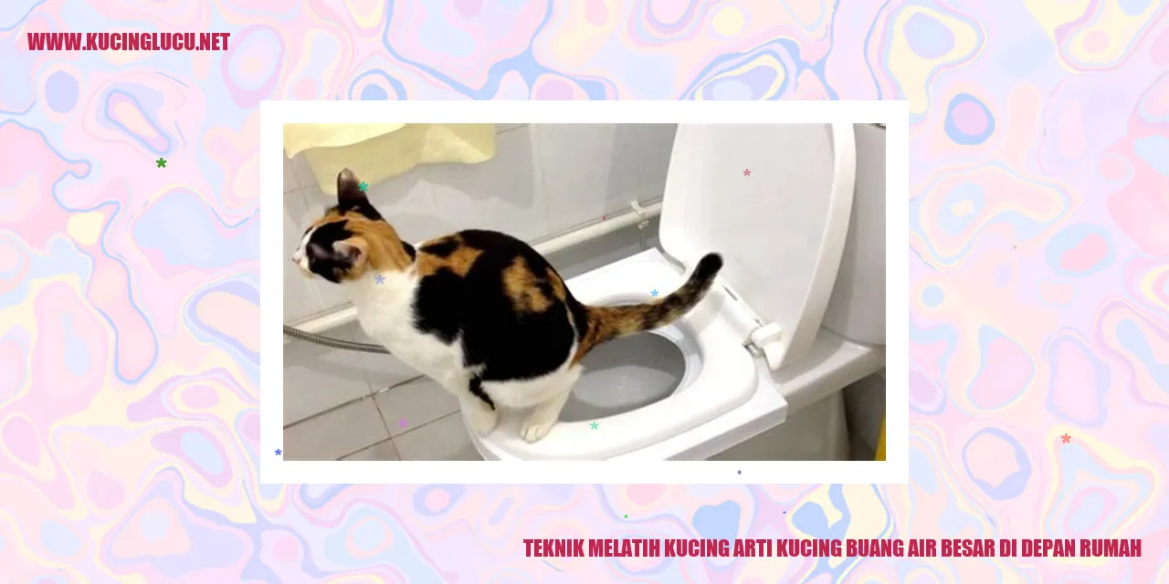 Teknik Melatih Kucing