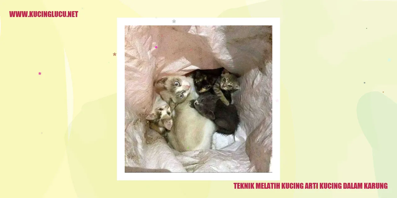Gambar kucing dalam karung