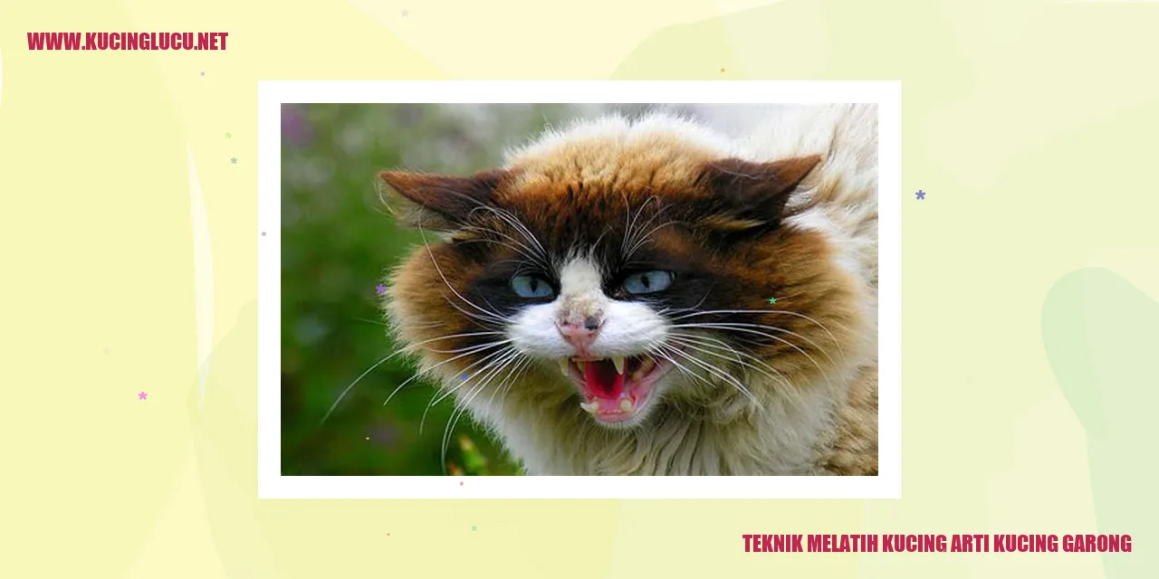 Gambar Kucing Garong