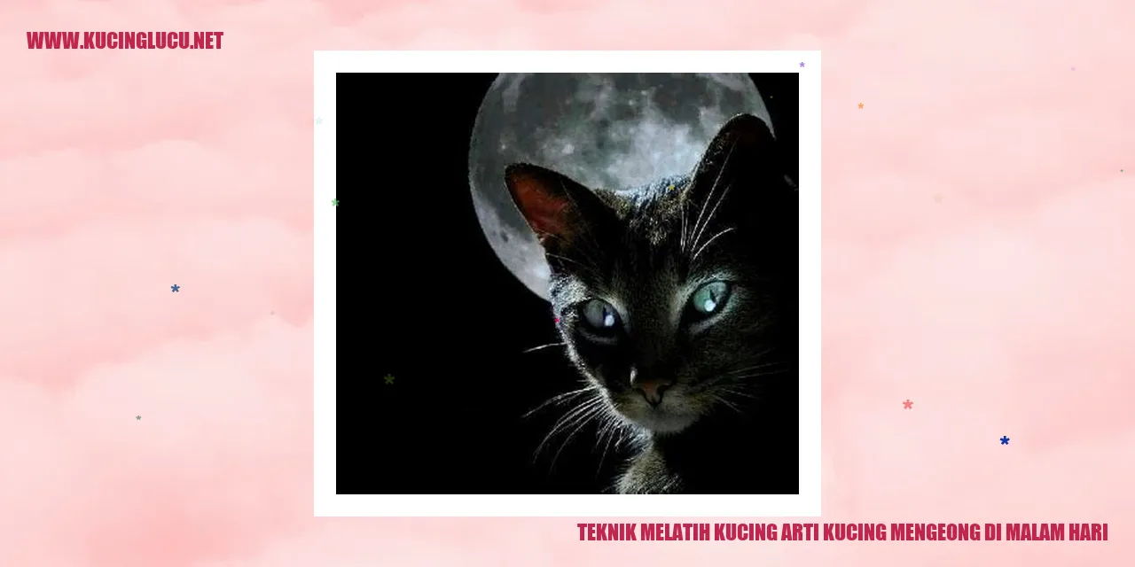 Kucing mengeong di malam hari